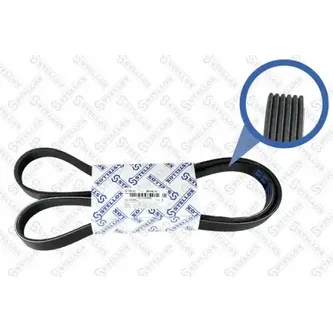 Ремень поликлиновый 6PK1635 BMW E87 1.6-2.0i 16V 04> STELLOX 06-01635-SX