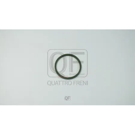 Кольцо уплотнительное патрубка интеркуллера QUATTRO FRENI QF76A00099