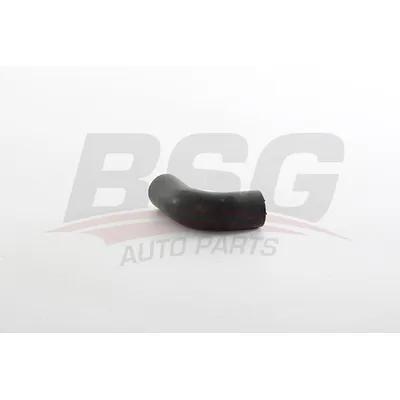 Патрубок вентиляции картера двигателя ASTRA F/CORSA B/VECTRA A 89- BSG BSG 65-720-108
