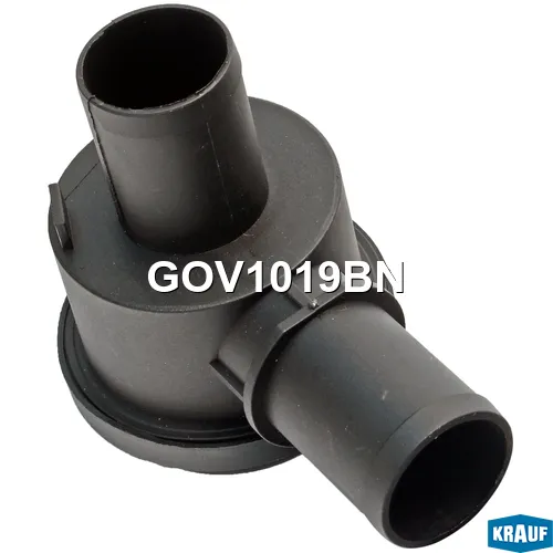 Маслоотделитель (КВКГ) VAG KRAUF GOV1019BN