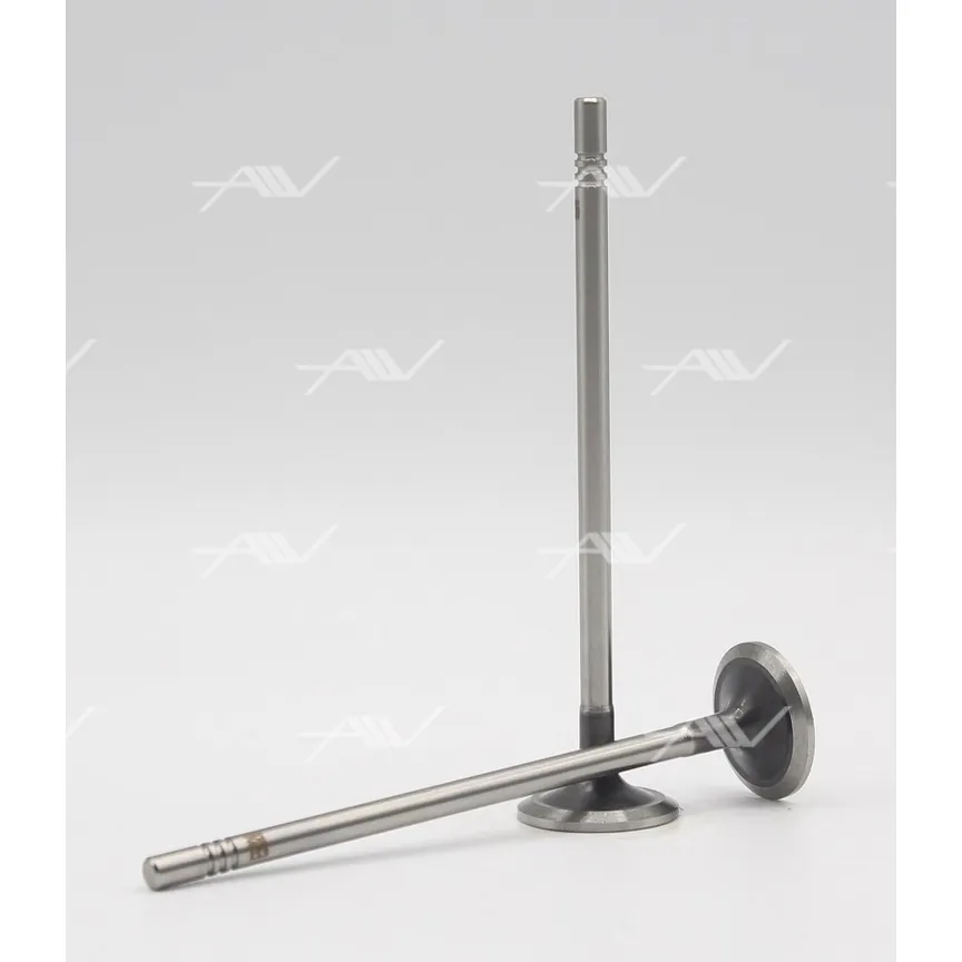 Клапан выпускной VAG CHPA CHZA DKLA 25x5x110 1