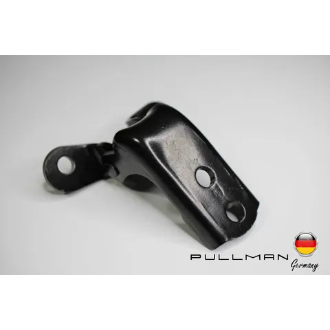 Петля двери PULLMAN 8617200218