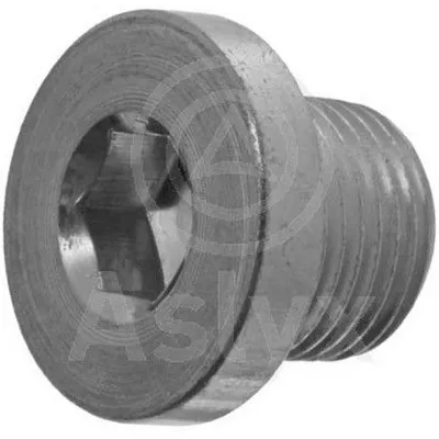 ПРОБКА ПОДДОНА CIT/FRD/PGT M14X1.25X12.5 AS-202619