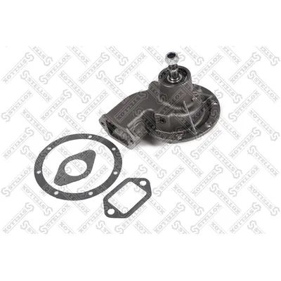 Насос водяной с прокладками RVI MIDR 062465 AE Magnum (1996-2000) STELLOX 81-04183-SX