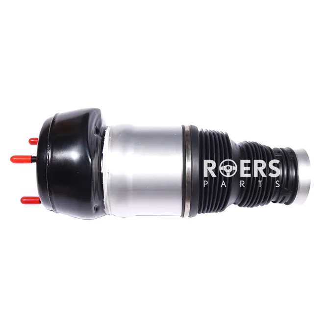 Пневматический упругий элемент передний левый Roers Parts RPA1663206913