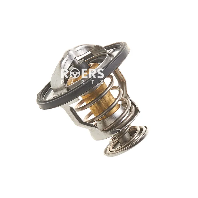 Термостат Roers Parts RP2550038001