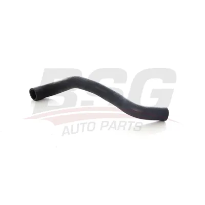 Шланг радиатора KANGOO II 08- BSG BSG 75-720-120
