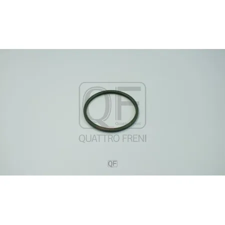 Кольцо уплотнительное патрубка интеркуллера QUATTRO FRENI QF54A00059