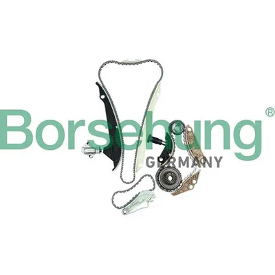 Комплект цепи ГРМ BORSEHUNG B16298