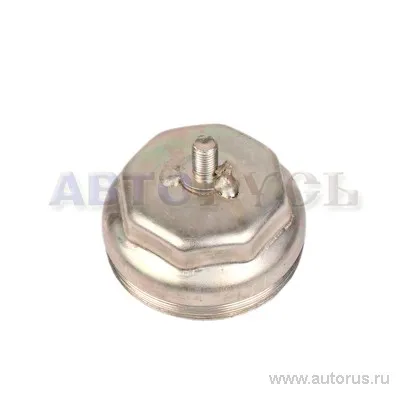 Колпак на ступицу для а/м ГАЗ-31029, 2410-3103063