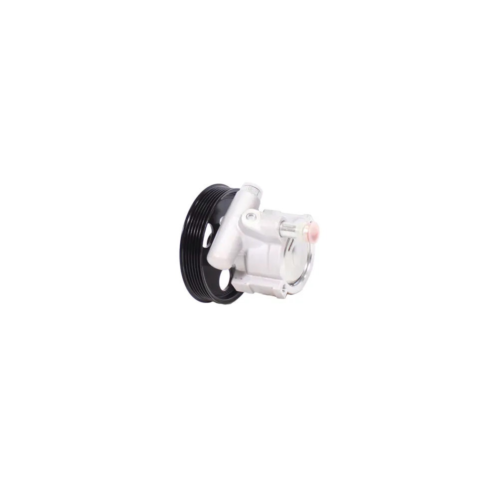 Насос ГУР Renault Clio II / Symbol 1998-2008, Lada Largus 20 PSTPRO NB6013PST