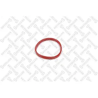 Прокладка коллектора впускного (x6) BMW E64 3.0 24V N52B30A 04> STELLOX 11-26125-SX