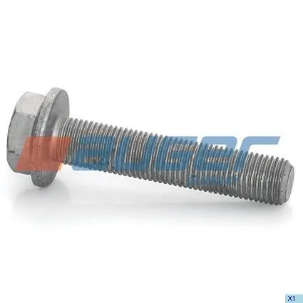 Болт тормозного диска HCV AUGER 77251