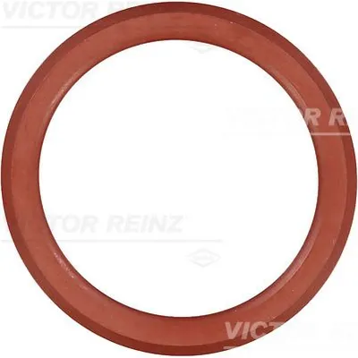Прокладка коллектора Peugeot 407/607 2.2HDi DW12BTED4 05 VICTOR REINZ 713855200