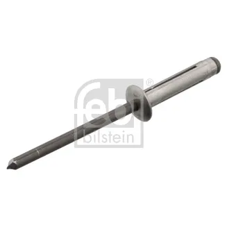 Заклепка крепления обшивки кузова MB /4x20x8mm FEBI 102732
