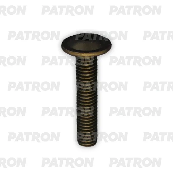 Болт металлический с внутренним шестигранником, черный M6X10 PATRON P37-3213T