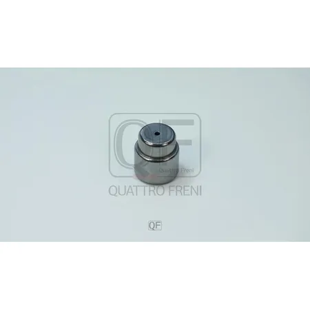 Подшипник КПП QUATTRO FRENI QF61B00008