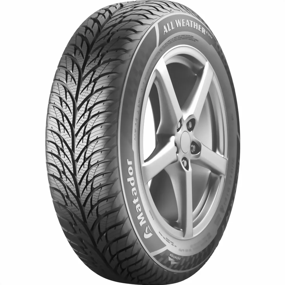 Шина R14 165/65 Matador MP62 All Weather Evo 79T лето 1581081