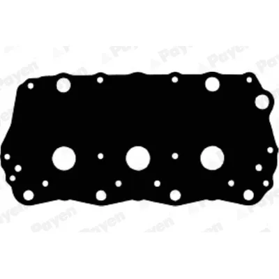 Прокладка клапанной крышки x2 land rover freelander 2.5 v6 00 PAYEN JM5035