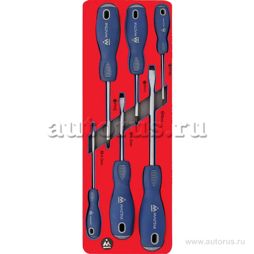 Набор отверток, ложемент, 6 предметов МАСТАК 5-4006