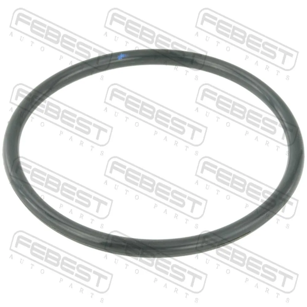 Кольцо уплотнительное корпуса дроссельной заслонки RENAULT Logan/Sandero/Megane II/III/Duster FEBEST RINGAH-010
