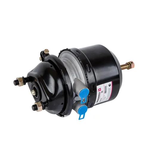 Энергоаккумулятор Ман Тга Тгс Тгх дисковый тип 20/24 Marshall M2892024