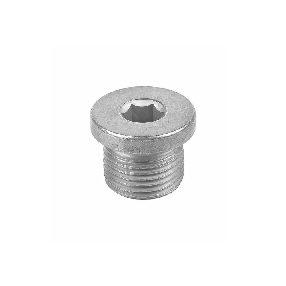Масляная пробка M36T/T1A/T1D/M32T CHERY T9001045