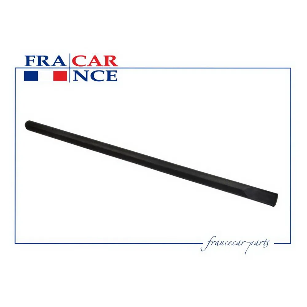 Молдинг двери задней 6001546709  fcr210441 francecar