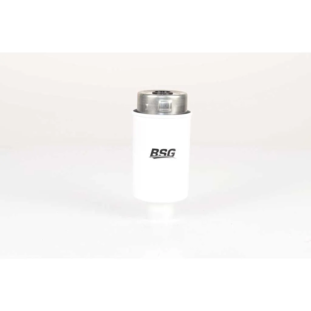 Фильтр топливный LAND ROVER RANGE ROVER SPORT DISCOVERY III-IV 10-1 BSG BSG15130009
