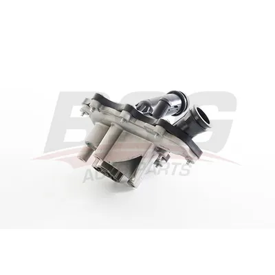 Водяной насос DUCATO III/ BXR III/ JUMPER III/TRANS?T 06- BSG BSG 25-500-013