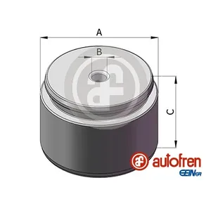 Поршень Суппорта SEINSA D025407