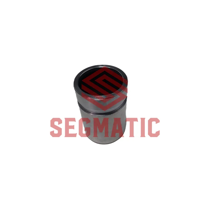Поршень суппорта TOYOTA FUN CARGO (NLP2, NCP2) 99-05,RAV 4 II (CLA2, XA2, ZCA2, ACA2) 00-05 SEGMATIC SG500095