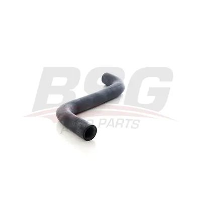 Шланг радиатора MEGANE II/SCENIC II 03- BSG BSG 75-720-123