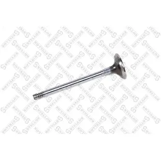 Клапан выпускной 31x6x104 Chevrolet Aveo 1.4i F14S3 04> STELLOX 01-24402-SX