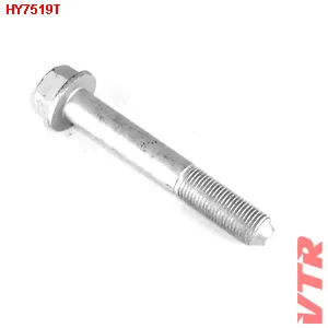 Болт рычага VTR HY7519T