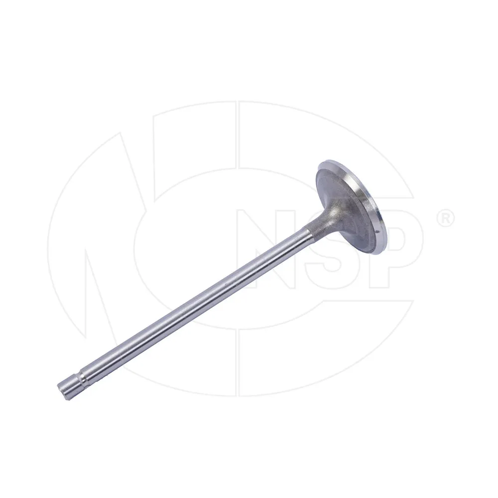 Клапан впускной HYUNDAI/ KIA G4NA NSP NSPRS76N31