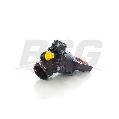 Термостат 204-212-222-SL231 2011-2016 BSG BSG 60-125-020
