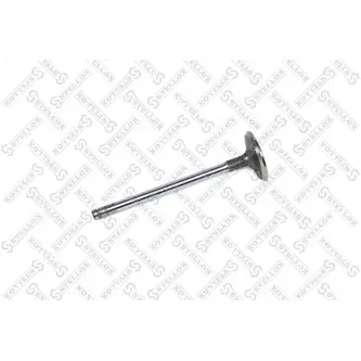 Клапан впускной 29х5.5х96 Kia Shuma 1.6 01-04 STELLOX 01-24405-SX