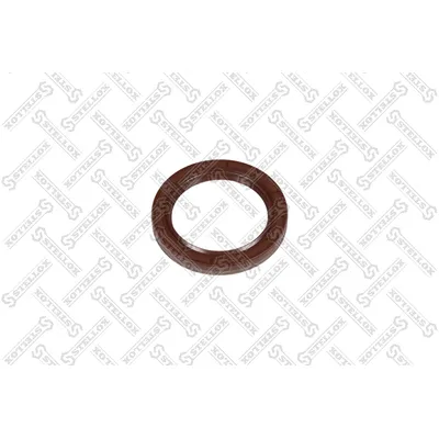 Сальник КПП FKM, 55x75x9 BDSLRDX7 Scania GR 875/GR 875R STELLOX 81-01374-SX