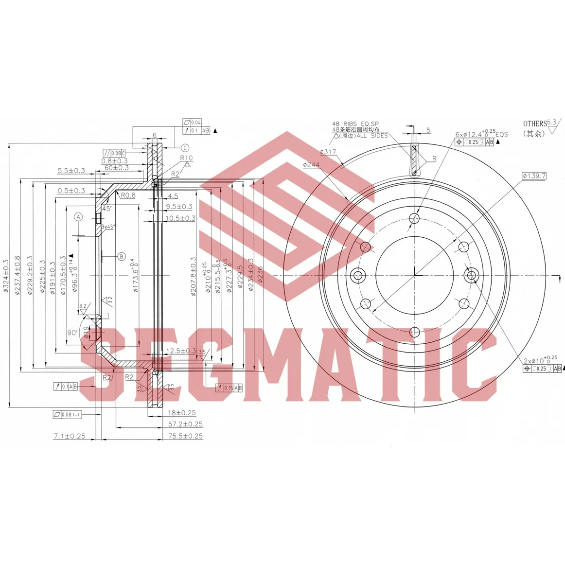 Диск тормозной задний HYUNDAI H1/STAREX 08- SEGMATIC SBD30093112