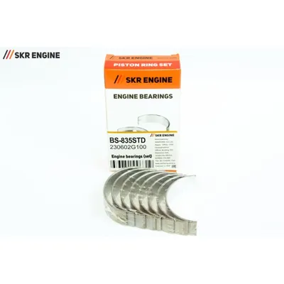 Вкладыши шатунные STD (компл) SKR ENGINE BS-835STD