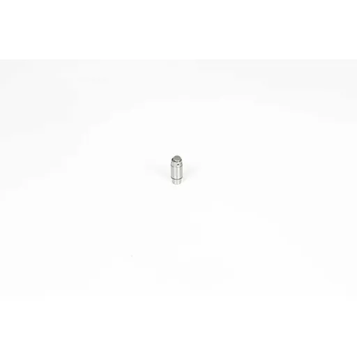 Толкатель клапана BM-168-414-169-245 1998-2010 BSG BSG 60-122-003