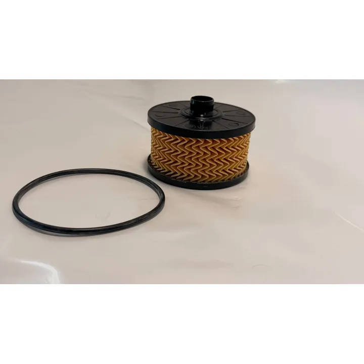 Фильтр масляный NISSAN Juke/Qashqai J11/RENAULT Captur 13->, Уценка NISSAN 152095084R-N0 Уценка