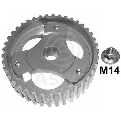 ШЕСТЕРНЯ РАСПРЕДВАЛА M14 X 19.60MM REN 1.9D ASLYX AS-202975