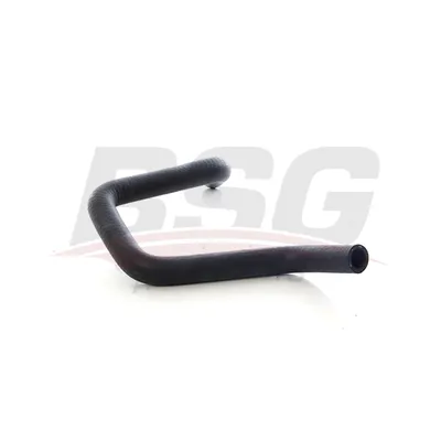 Шланг радиатора MEGANE II/SCENIC II 03- BSG BSG 75-720-074