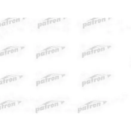 Насос гидроусилителя FIAT DUCATO 2.5 TDI (100 Bar) PATRON PPS239