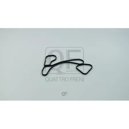Прокладка масляного радиатора QUATTRO FRENI QF65A00021