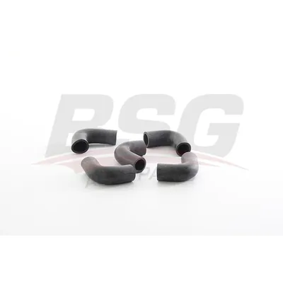 Патрубок вентиляции картера двигателя ASTRA G/CORSA C/VECTRA C 96-04 BSG BSG 65-720-109