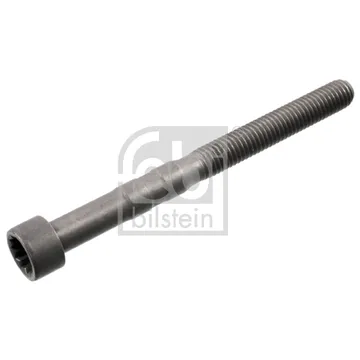 Конусный болт оси коромысел VAG+Skoda 95-> mot.1,9TDI/2,0TDI /M8x1,25mm FEBI 100726