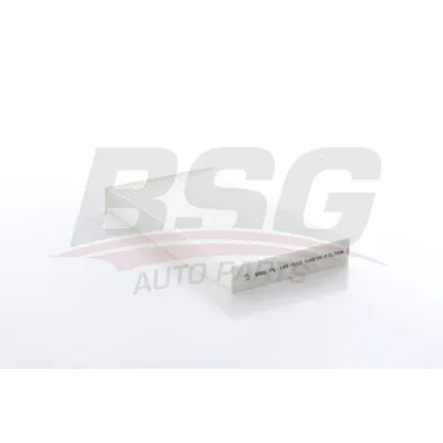 Фильтр кондиционера MEGANE III 08- BSG BSG 75-145-010